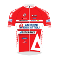 Tímové tričko Androni - Sidermec - Bottecchia