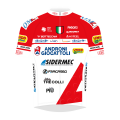 Tímové tričko Androni Giocattoli - Sidermec