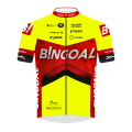 Tímové tričko Bingoal WB Devo Team