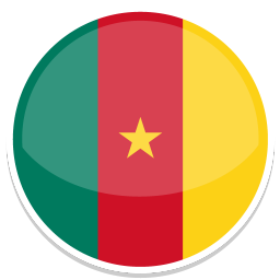 Tímové tričko Cameroon