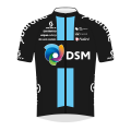 Tímové tričko Development Team DSM