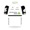 Tímové tričko Team Dimension Data