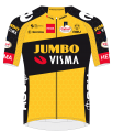 Tímové tričko Jumbo-Visma Development Team
