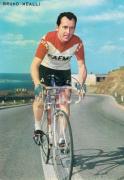 Fotka Bruno Mealli