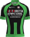 Tímové tričko Sestroretsk