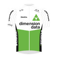 Tímové tričko Team Dimension Data