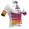 Tímové tričko Team Groupe Abadie