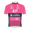 Tímové tričko Team NIPPO-Provence-PTS Conti