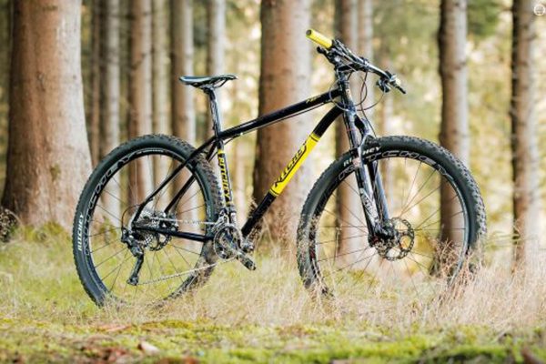 Test: Ritchey P-29er
