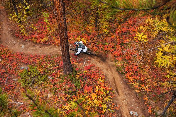  Mladý talent si užíva jazdu farebnými jesennými lesmi