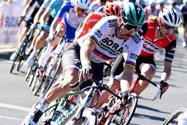 Sledujte naživo Sagana na Tour Down Under 2019. Pozrite si časy &scaron;tartov i koncov et&aacute;p