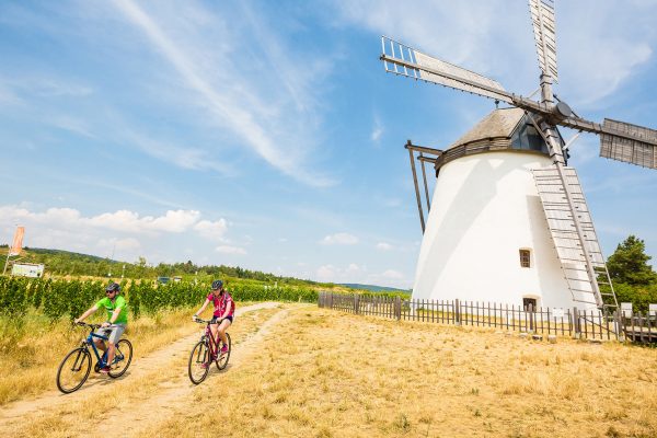 Niečo pre milovníkov vína a histórie – cyklistická trasa regiónu Weinviertel