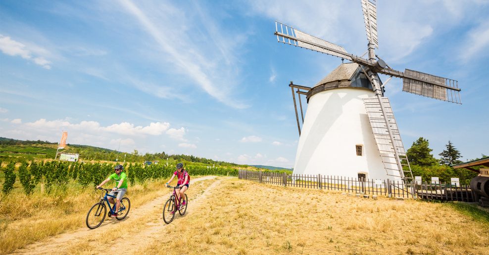 Niečo pre milovníkov vína a histórie – cyklistická trasa regiónu Weinviertel
