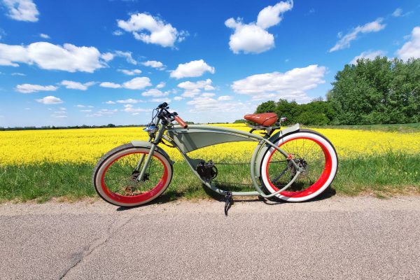 Hand made E-bike_GREEN BANDIT_