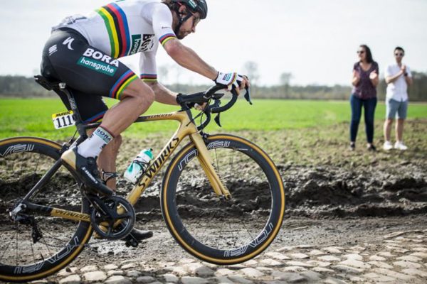 Z centrály Specializedu ukradli víťazný S-Works Roubaix Petra Sagana