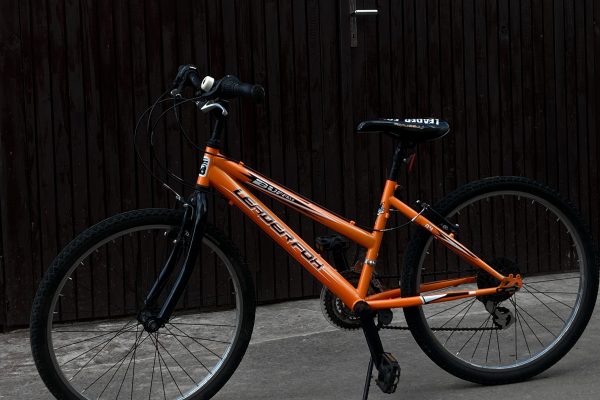 Bicykel Leader Fox 24 Buffalo