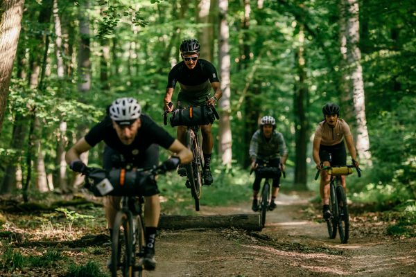 Maloja Soul in the Woods: Inšpirujte sa múdrosťou stromov