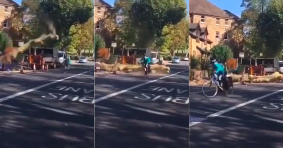  Video: Padajúci strom na ulici takmer skončil na okoloidúcom cyklistovi