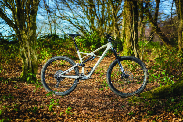 Test: Specialized Enduro Elite 29