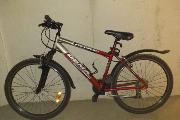 Bicykel – Pegas – Dema