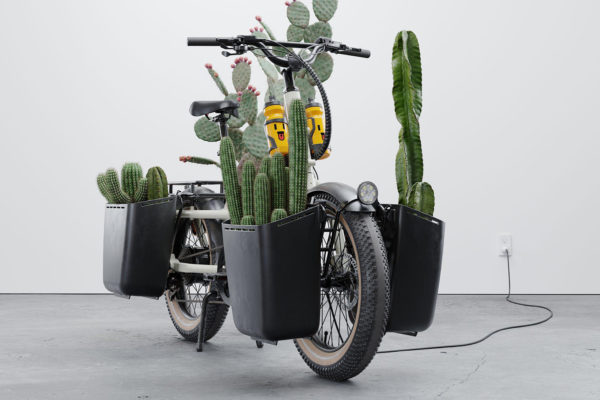 Specialized chystá predstavenie elektrobicyklovej podznačky Globe Bikes