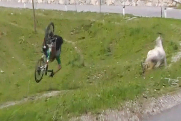 Video: Filippo Zanna vyletel v zjazde mimo cesty a takmer trafil koňa