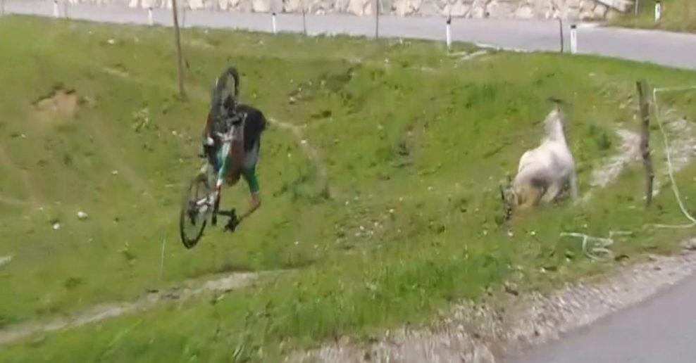 Video: Filippo Zanna vyletel v zjazde mimo cesty a takmer trafil koňa