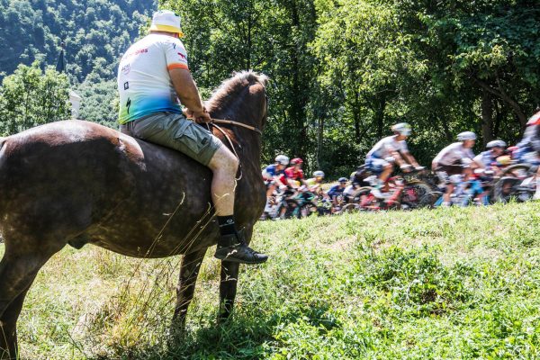Zoznam cyklistických tímov WorldTour a ProTeams, a ako sa zmenili ich názvy v roku 2024