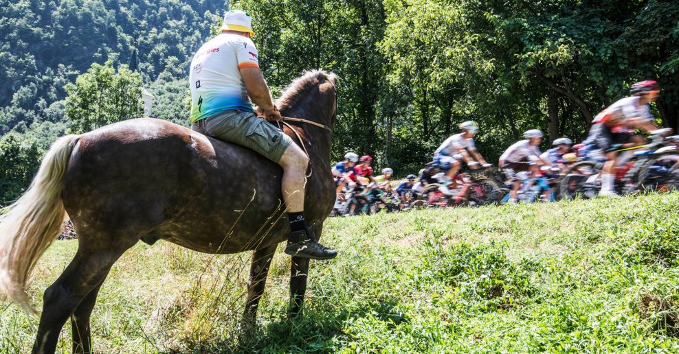 Zoznam cyklistických tímov WorldTour a ProTeams, a ako sa zmenili ich názvy v roku 2024