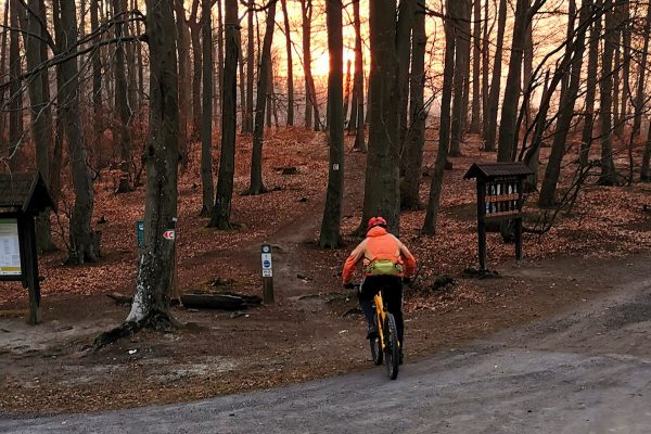 Jazda na bicykli ráno pred prácou zlepšuje efektivitu a koncentráciu zamestnancov