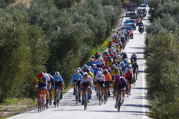 Wout van Aert aj Slovák Matthias Schwarzbarcher dnes štartujú na španielskych pretekoch Clásica Jaén