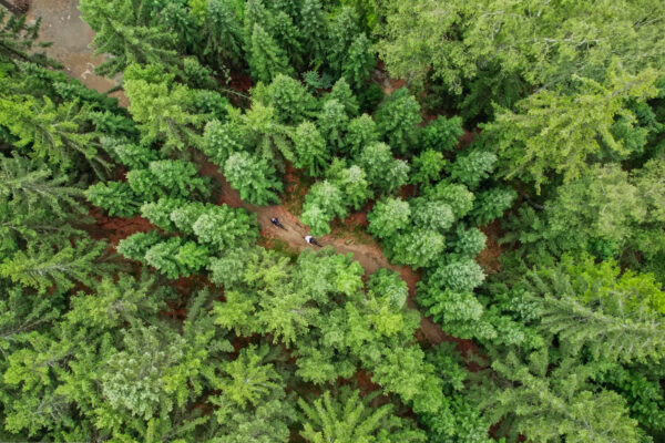 Video: Bike Destination predstavuje Trutnov Trails