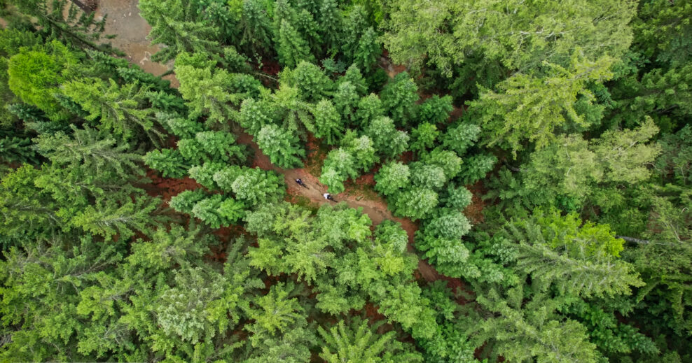 Video: Bike Destination predstavuje Trutnov Trails