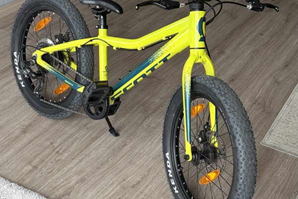 Detsky bicykel Scott Roxter 20