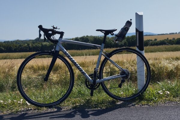 Specialized allez