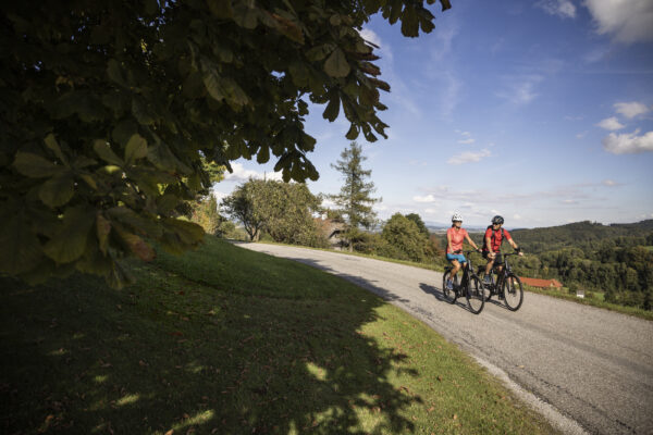 VITALWELT: v&yacute;kon a regener&aacute;cia v jednom