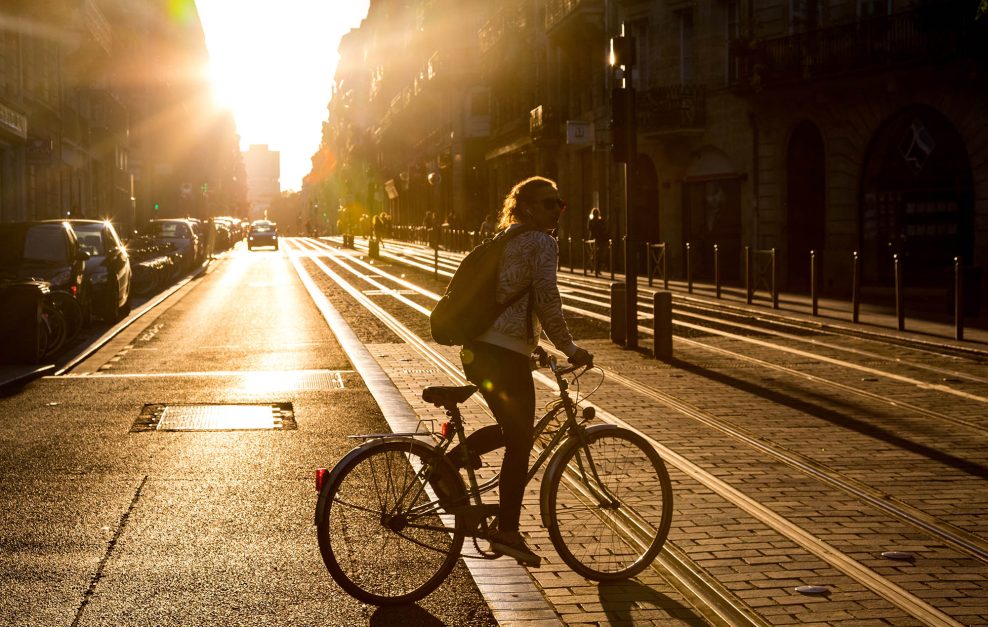 Alkohol, telefón v ruke aj venčenie psa. 15 zákonov, ktoré ako cyklisti na Slovensku porušujete a ani o tom neviete