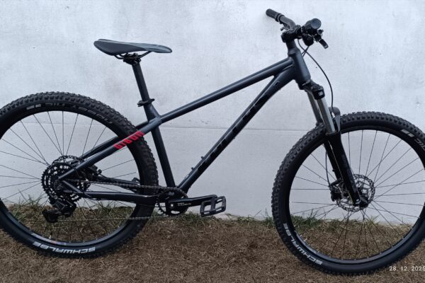 Kellys Gibon 10