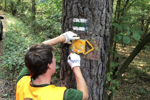 Rozhovor: Štát prispieva na cyklo značenie 50 000 eur ročne
