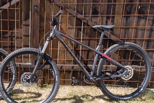 Kellys Gibon 10