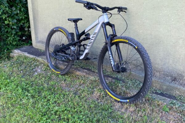 Canyon Spectral 29 AL 6