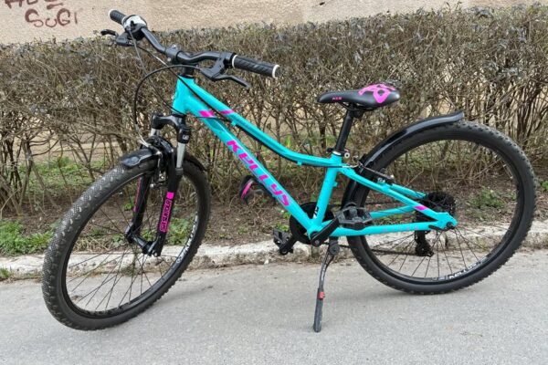 Kellys Kiter 50
