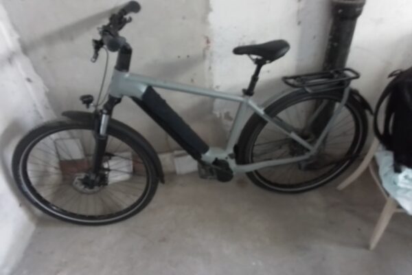 ebike