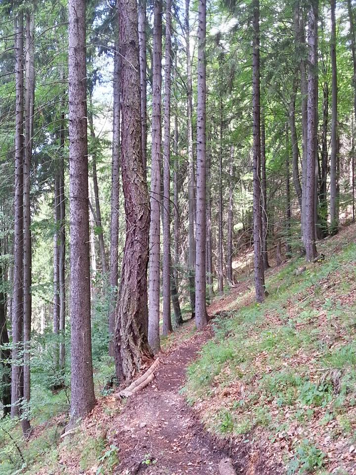 Blizzard – Najuniverzálnejší trail na Slovensku!