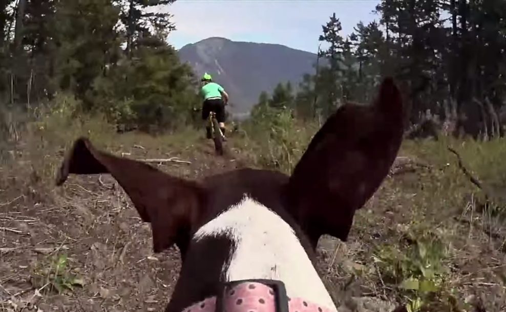 Video: Casey Brown a jej trailové psisko Poppy