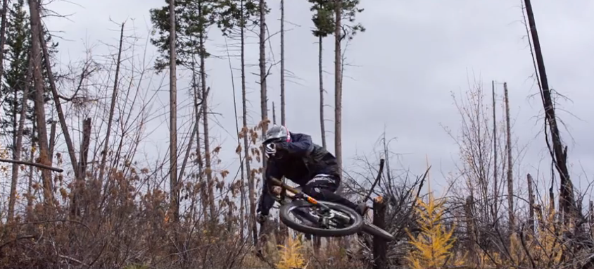 Video: Tom van Steenbergen je späť!