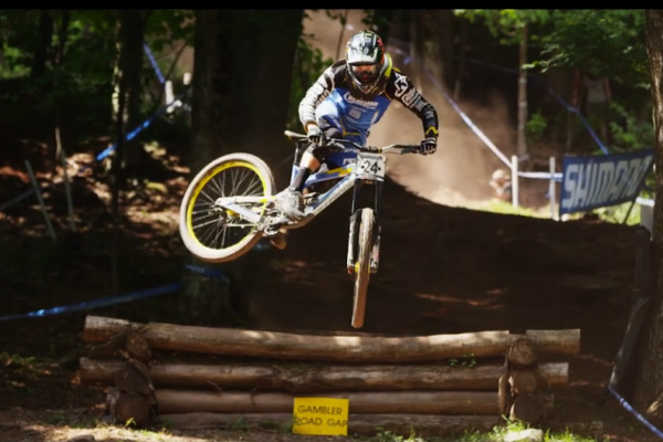 „Divočáci“, alebo to najlepšie zo sveťákov 2014