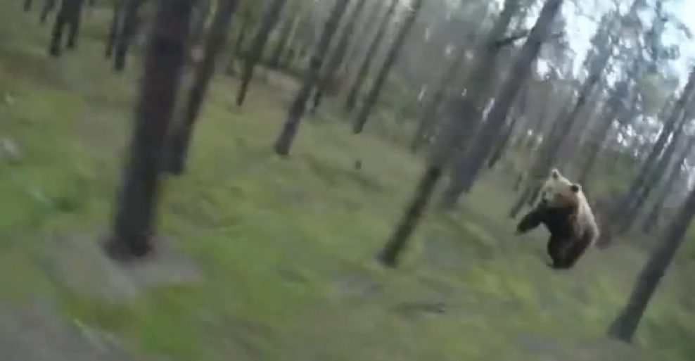 Video: Medveď za bikom je lepšia motivácia ako hociktorá fitness appka