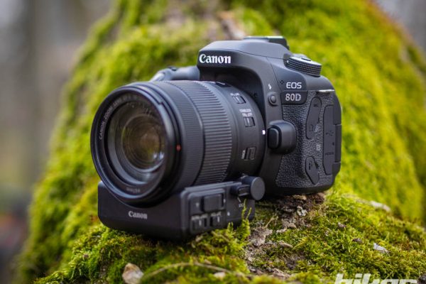 FOTOTEST: Canon EOS 80D + objektív EF-S 18-135mm f/3.5-5.6 IS USM