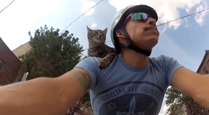 Video: Mačka jazdiaca na bicykli